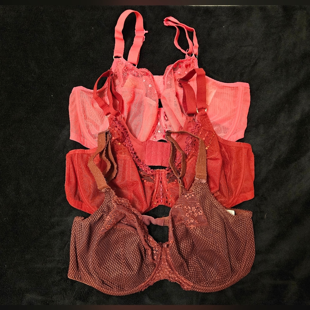 Elomi Bra Bundle